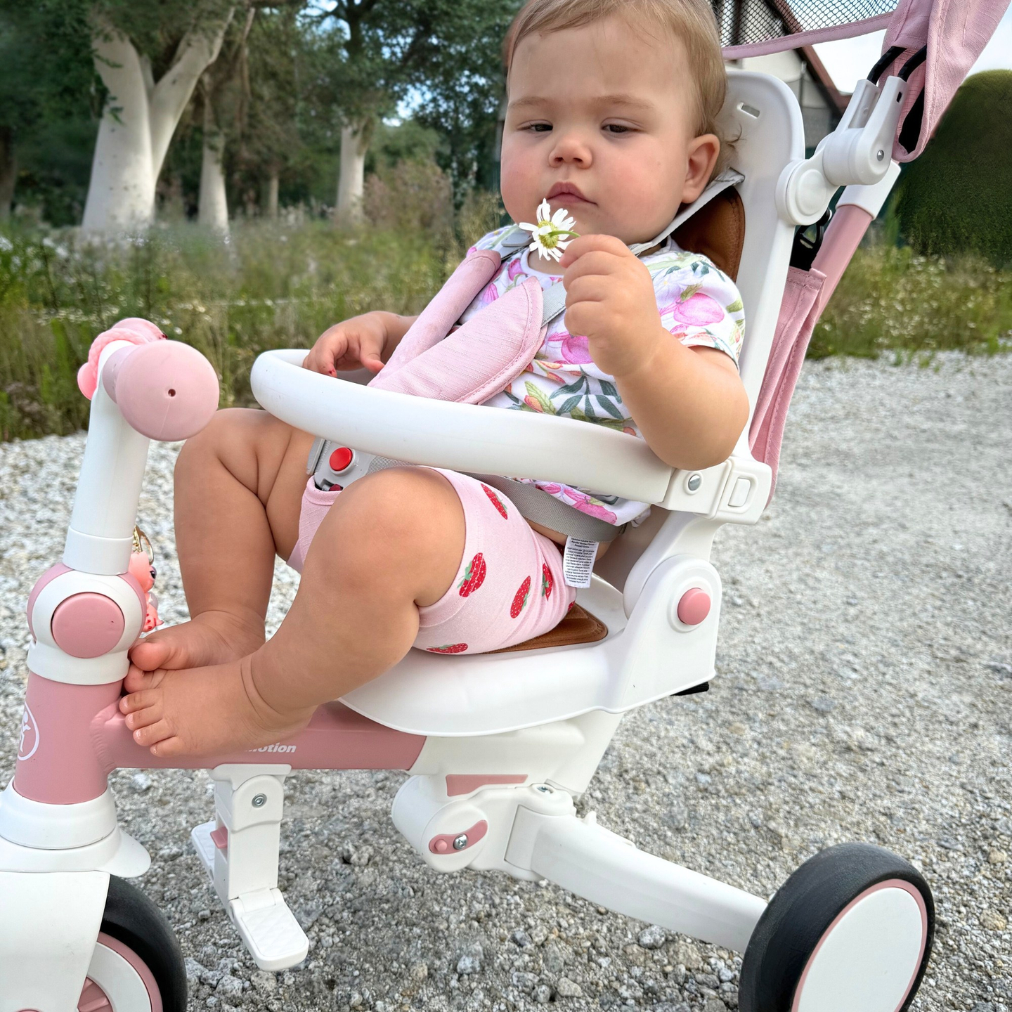 Multifunkčná trojkolka 8v1 TOBI FOREST - ružová