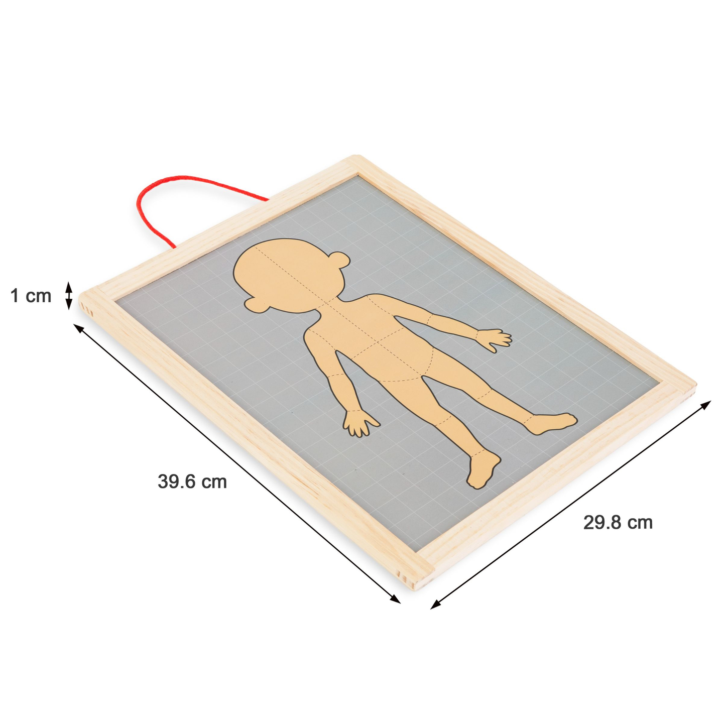 Magnetické hádanky - Veda o anatómii - Ľudské telo
