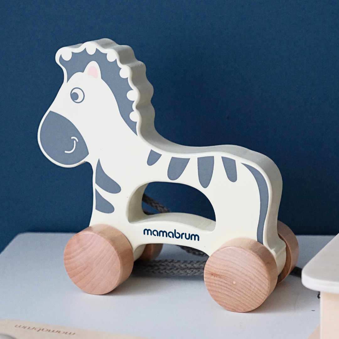 Montessori súprava hračiek pre deti od 19 do 24 mesiacov