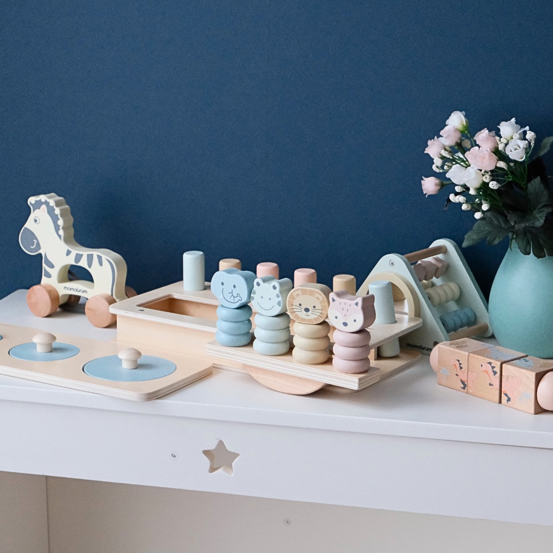 Montessori súprava hračiek pre deti od 19 do 24 mesiacov